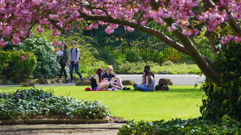 Students walking through the botanic gardens