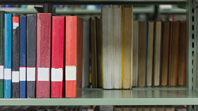 Books on a shelf.