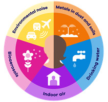 Health Protection Research Unit (HPRU) logo. A circle split into 5 coloured sections each with a different theme as follows: 'Environmental noise' (yellow), 'Metals in dust and soils' (orange), 'Drinking water' (blue), 'Indoor air' (purple), 'Bioaerosols' (pink). A silhouette of a person's head in the middle of the circle.