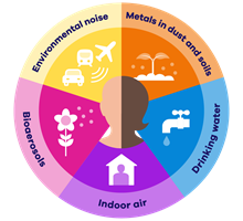 Health Protection Research Unit (HPRU) logo. A circle split into 5 coloured sections each with a different theme as follows: 'Environmental noise' (yellow), 'Metals in dust and soils' (orange), 'Drinking water' (blue), 'Indoor air' (purple), 'Bioaerosols' (pink). A silhouette of a person's head in the middle of the circle.