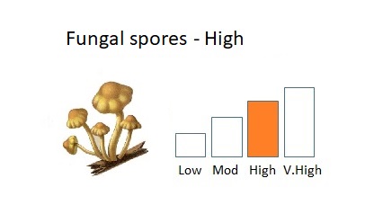 bar chart showing high levels of fungal spores next to an image of mushrooms
