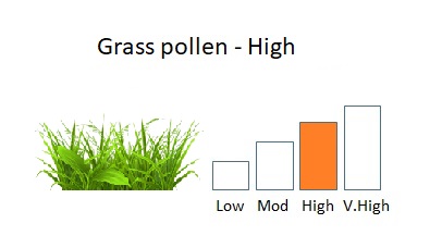 bar chart showing high grass levels next to an image of grass