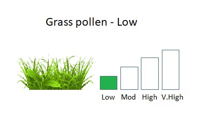bar chart showing low grass levels next to an image of grass