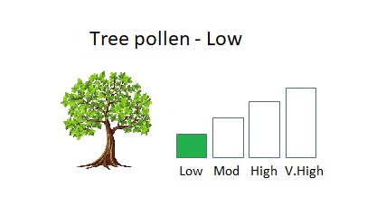 bar chart showing low levels of tree pollen next to an image of a tree