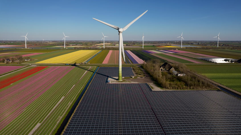 Solar panels and wind turbines producing energy in colorful Tulip fields.