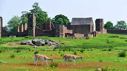 old structure in bradgate park