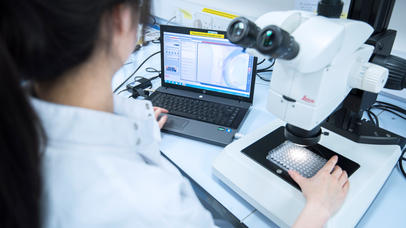 A woman studies a microscope result on a computer