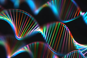 DNA strands