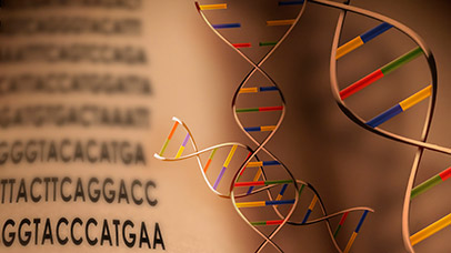 Strands of DNA