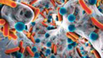 Close up of host microbial under microscope
