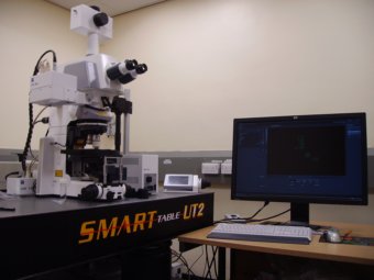 Zeiss MP7 multiphoton microscope
