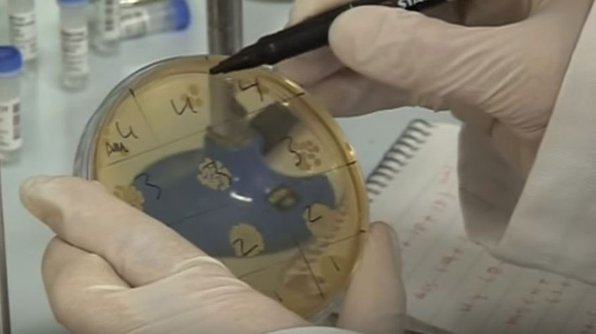 Hands marking scientific findings