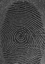 A black and white image of a fingerprint.