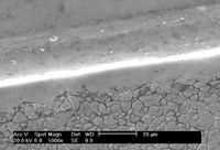 An image of a scanning electron micrograph of partially polished sample of stainless steel