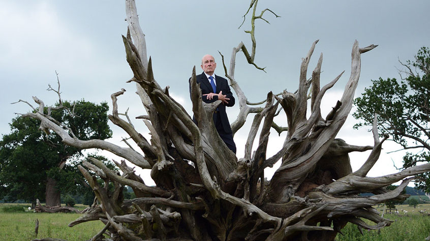 Elderly man wearing a blue suit standing in a field behind a tree stump. Several dead branches shoot off the stump.