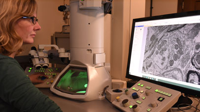 Technician on a computer in a lab