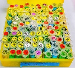 Vectors - dna samples in a yellow container 