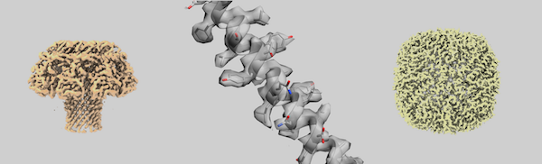 Three cryoem maps