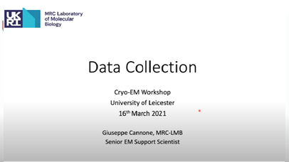 Data collection by Giuseppe Cannone