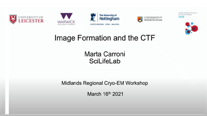 Image formation by Marta Carroni