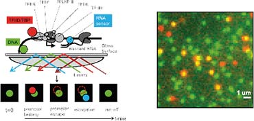 research imagery