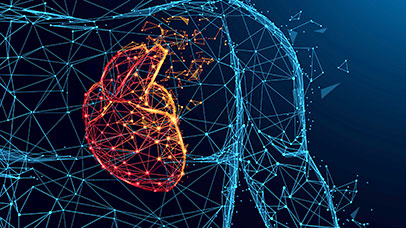 abstract wireframe illustration of heart inside human body