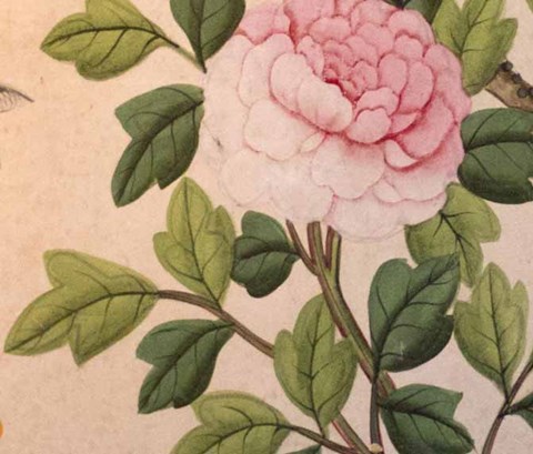 Chinese wallpaper with fruit and flowers.