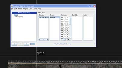 corewall softwarex example