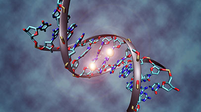 A DNA model depicting methylation