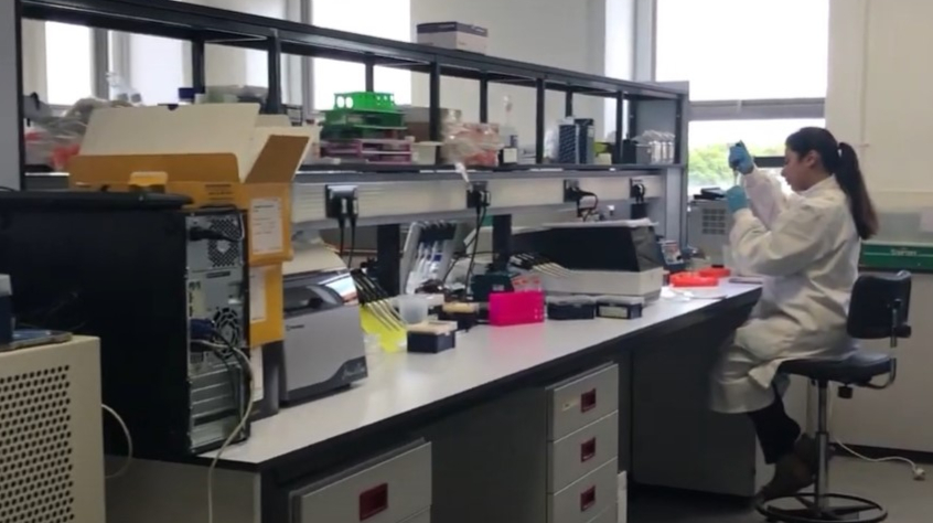 The Genomics Facility