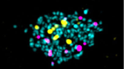 Results from under a microscope