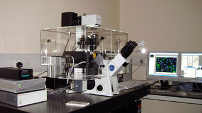 Olympus Cell R Scan imaging system