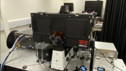 Nikon AX multiphoton microscope