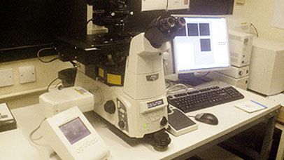 Nikon C1Si confocal laser scanning microscope