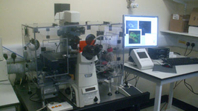 Nikon microscope