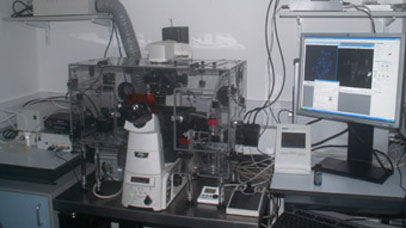Nikon microscope