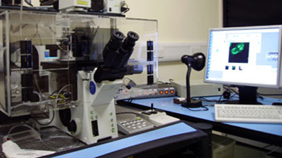 Olympus FV1000 confocal laser scanning microscope