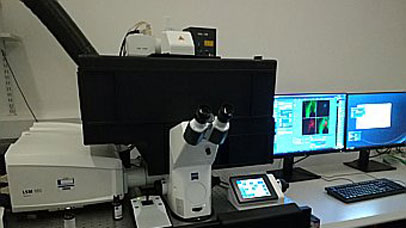 Zeiss LSM 980 Airyscan 2 confocal laser scanning microscope