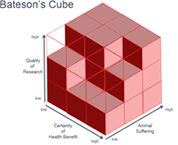 batesons cube diagram