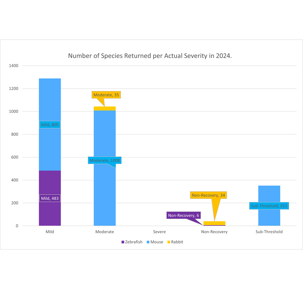 Return of Procedures, Severity, 2024, UoL