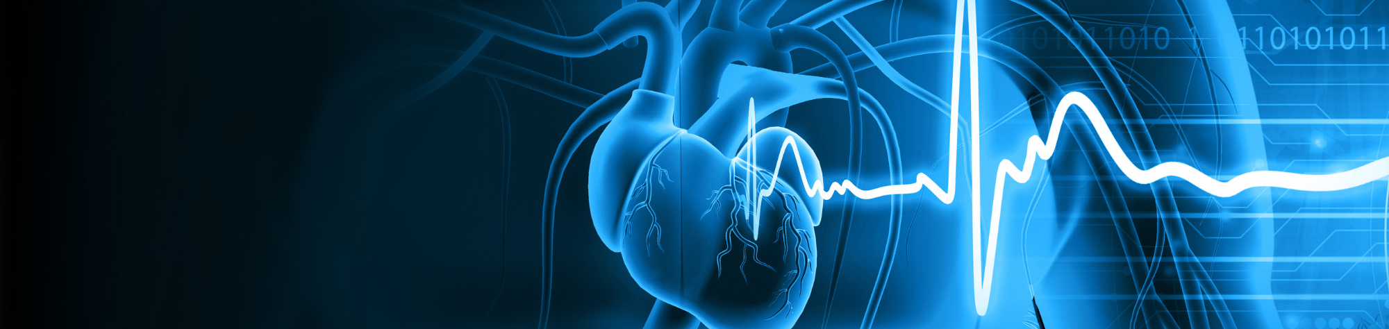 abstract central heart within a blue and black digital human body, blue neon heartbeat line towards  the right