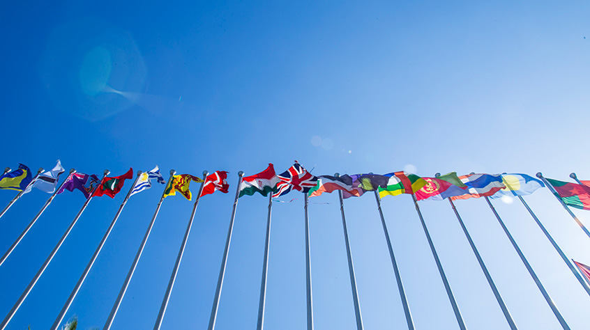 A view from the below showing a series of flags on poles on a beautiful blue sky day.