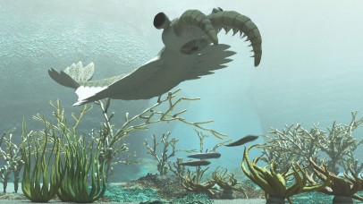 Animals and floral life from the Cambrian period in the water