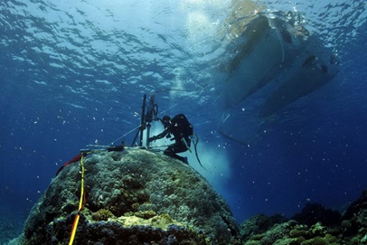 Diver underwater drilling coral