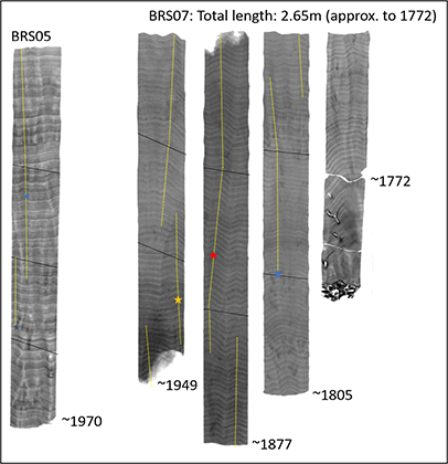 Cross sections through cores