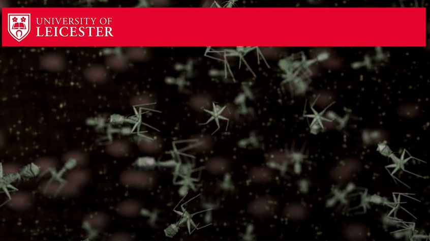 Close up of bacteriophages