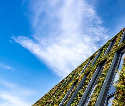 View of a building on Leicester campus with plants outside windows