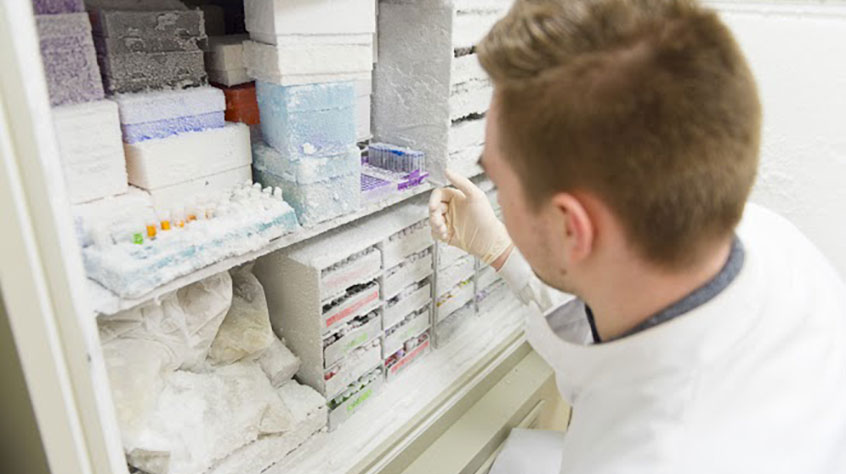 A man working in a lab