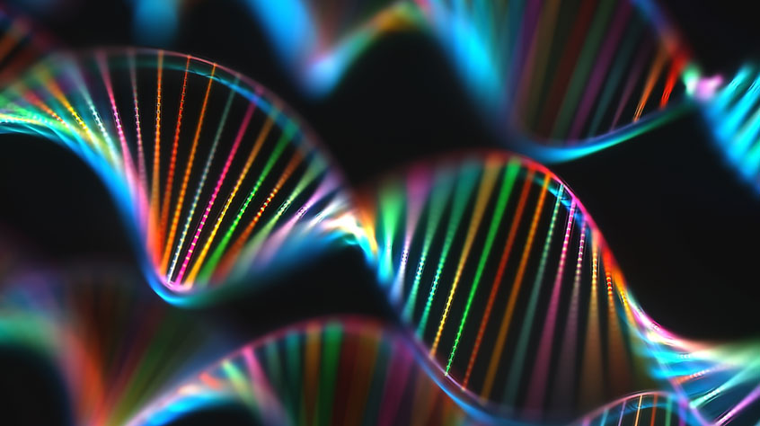 DNA molecule illustration