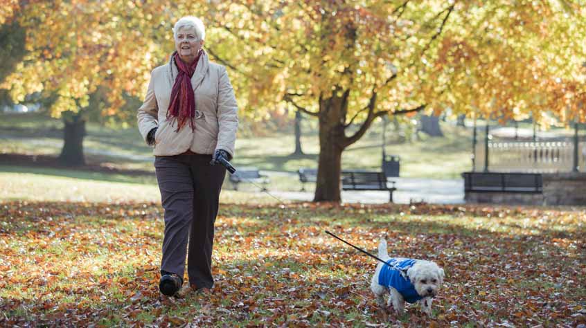 Senior woman is walking her dog through a public park in autumn.
